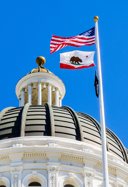 IRS california (411 x 600 px)