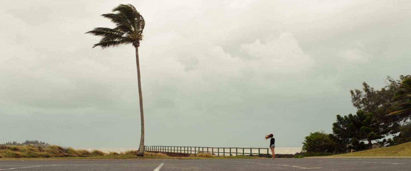 Tax Benefits Available for Victims of Natural Disaster (1440 × 600 px)