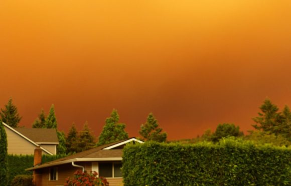 IRS Announces Tax Relief for Victims of Oregon Wildfires