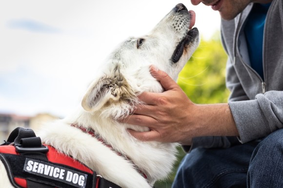 Man petting his service dog.