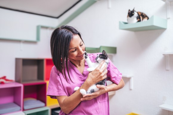 Woman working at animal shelter.