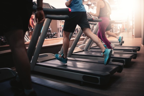 People running on the treadmill.