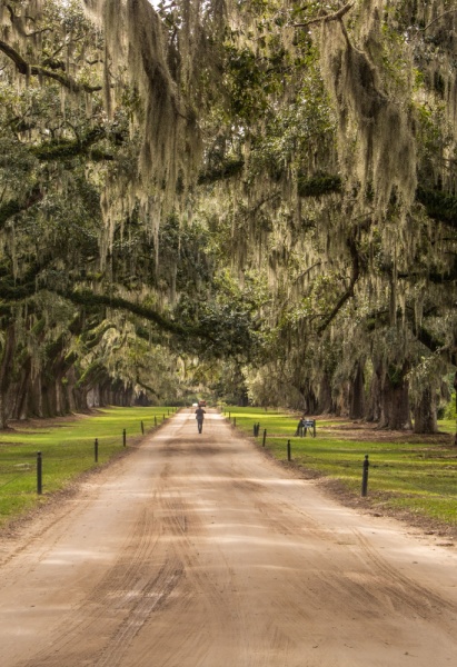 Boone Hall Plantation in Charleston, South Carolina