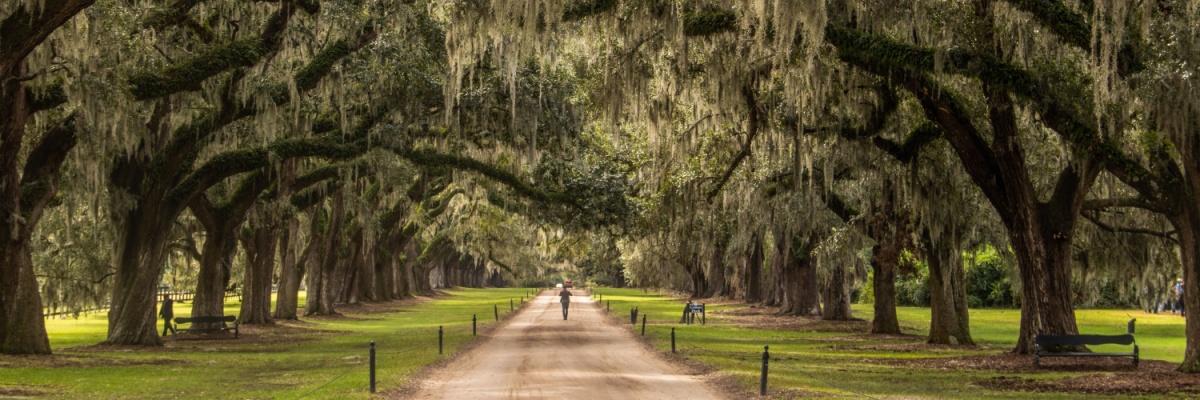 Boone Hall Plantation in Charleston, South Carolina